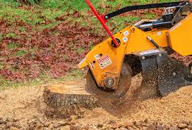 Leaf Removal Services in Milltown, NJ